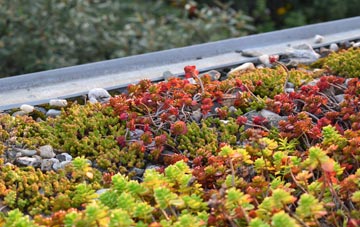 the cost of Charminster green roof installation
