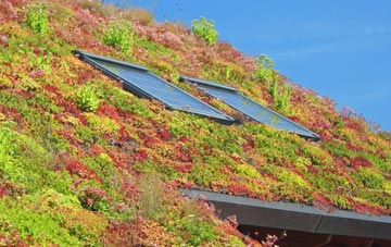 Charminster living roof systems