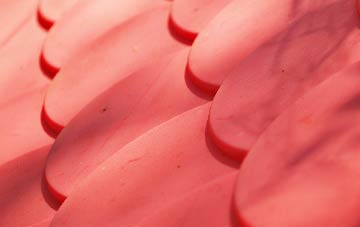 Charminster plastic roof costs