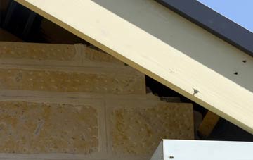 soffit repair Charminster