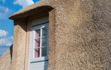 Charminster thatch roof disadvantages